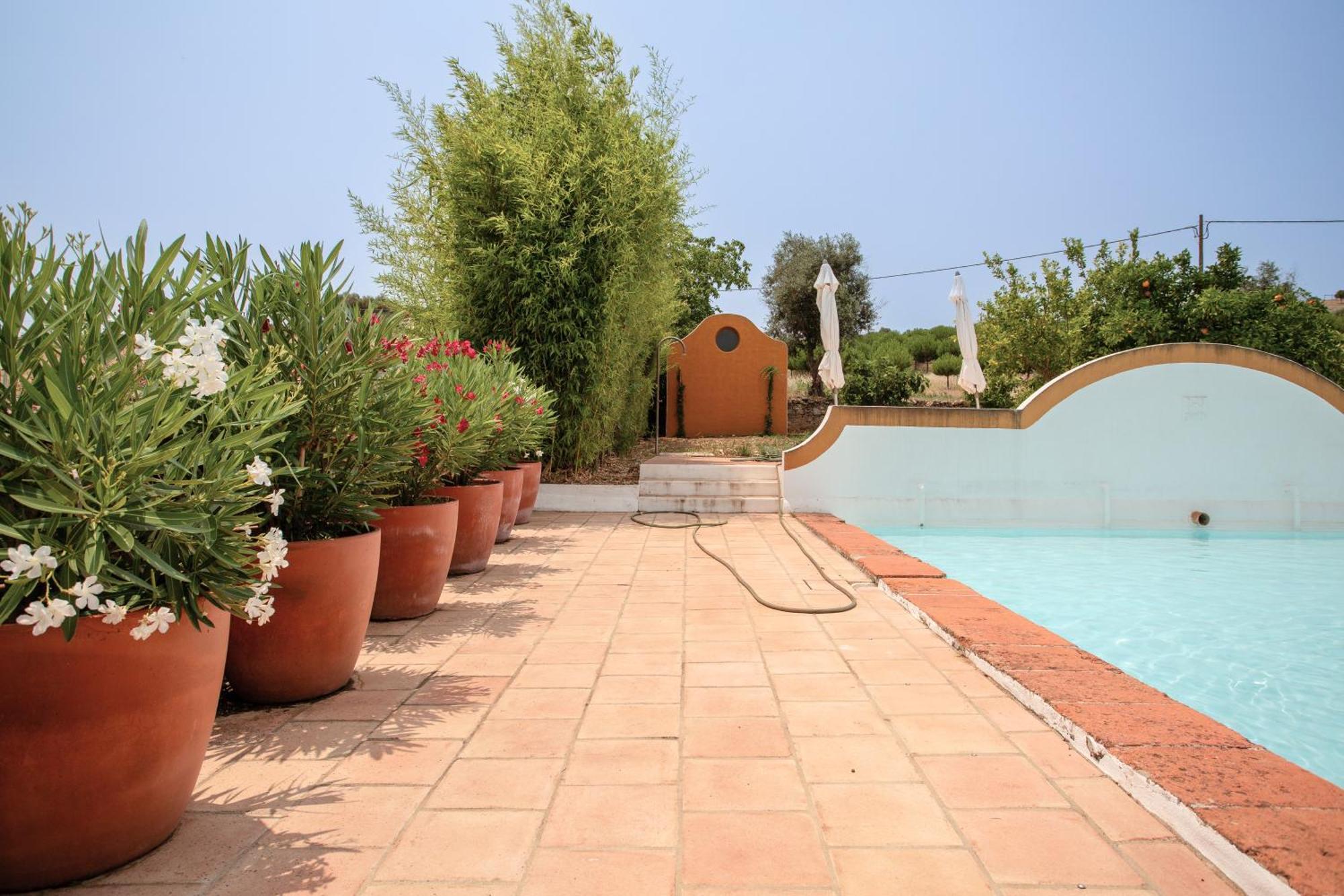 Vila Monte Da Hortinha Estremoz Exteriér fotografie